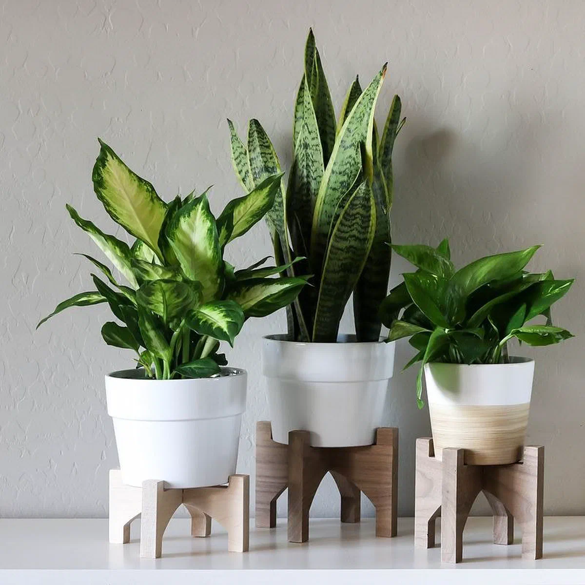 Three wooden plant stands of different heights holding potted houseplants.