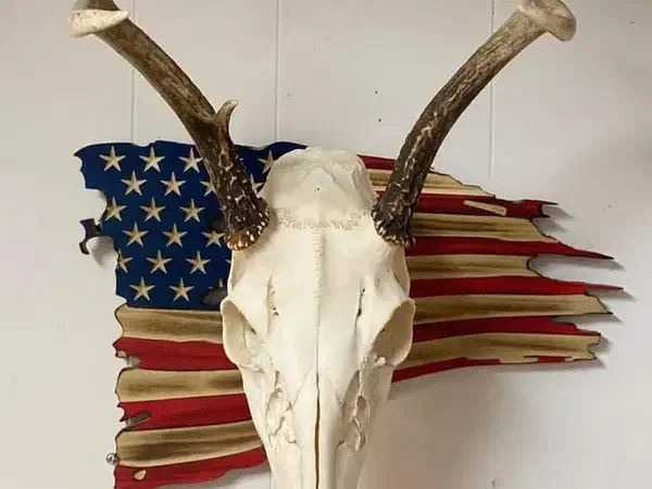 Deer skull and antlers mounted against a carved red, natural-wood, and blue flag backer